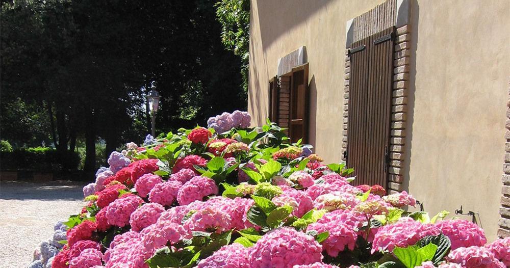 Montecorneo Country House Ponte San Giovanni Exterior foto